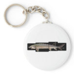 Atlantic Sturgeon - Acipenser oxyrinchus Key Chains