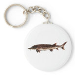 Atlantic Sturgeon - Acipenser oxyrinchus Keychain