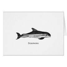Atlantic White Sided Dolphin Card