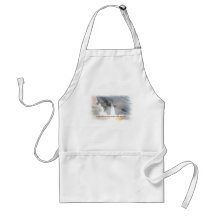 Atlantis Space Shuttle STS-135 Last Flight Aprons