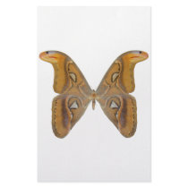 Atlas Butterfly Customized Stationery