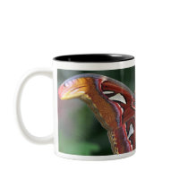 Atlas moth mugs