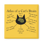 Atlas Of a Cat's Brain Refrigerator Magnets