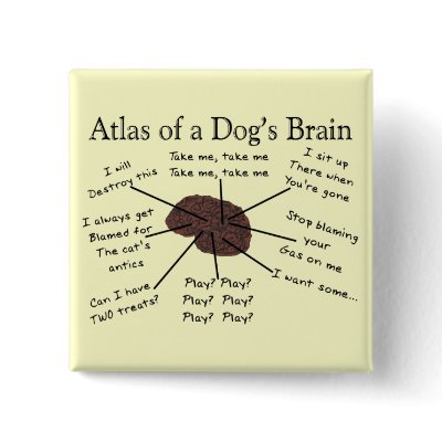 Atlas of a Dog's Brain Pinback Buttons by BrainProfessions