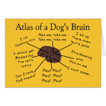 Atlas of a Dog's Brain Greeting Cards