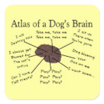 Atlas of a Dog's Brain Square Stickers