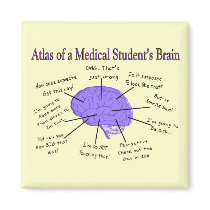 Atlas of a Medical Student's Brain #2 Fridge Magnets