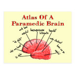 Atlas of a Paramedic Brain Post Cards