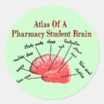 Atlas of a Pharmacy Student Brain Sticker