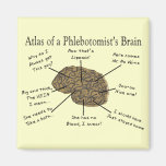 Atlas of a Phlebotomist's Brain Magnets