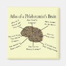 Atlas of a Phlebotomist's Brain Magnets
