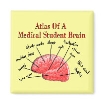 Atlas of Medical Student Brain Refrigerator Magnet