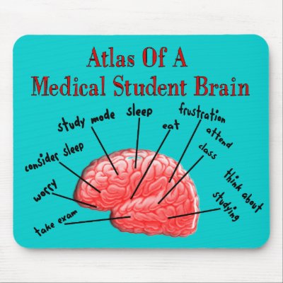 Atlas of Medical Student Brain Usepad by ProfessionalDesigns