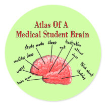 Atlas of Medical Student Brain Stickers