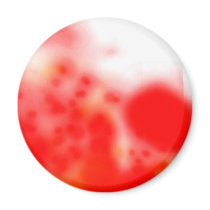 Atmospheres magnets by Snubnose Atmospheres magnets