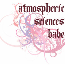 Atmospheric Sciences Babe photo sculptures