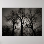 Atomic Cerebellum : Lake Front in Winter Poster