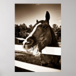 Atomic Cerebellum : Laughing Horse Posters