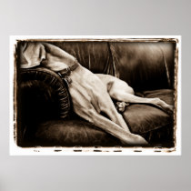 Atomic Cerebellum : Taking Over The Couch Print