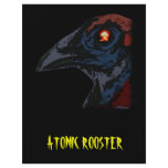 Atomic Rooster flyers