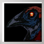 Atomic Rooster posters