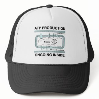 ATP Production Ongoing Inside hat
