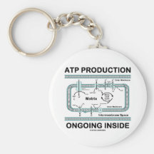 ATP Production Ongoing Inside Keychain
