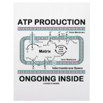 ATP Production Ongoing Inside letterhead