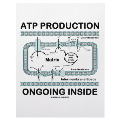ATP Production Ongoing Inside Customized Letterhead by wordsunwords