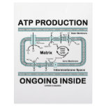 ATP Production Ongoing Inside Customized Letterhead