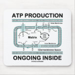 ATP Production Ongoing Inside Mouse Pad