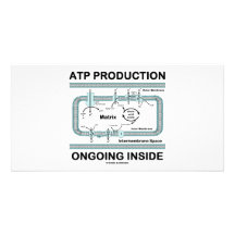 ATP Production Ongoing Inside Photo Cards