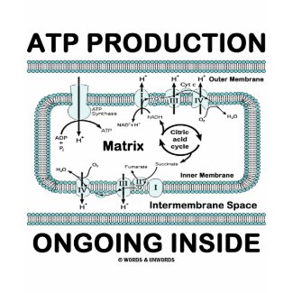 ATP Production Ongoing Inside shirt