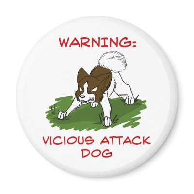 Attack Buffy Magnets by ameyer64