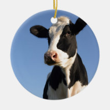 Attentive cow christmas tree ornament