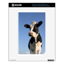 Attentive cow NOOK color decals