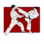 Attitude Adjustment T-shirt