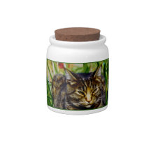 Attitude Cat Candy Dish