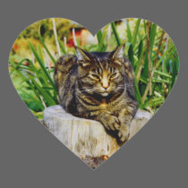 ATTITUDE CAT stickers