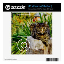 Attitude Cat iPod Nano Skins