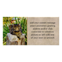 Attitude Cat Photo Greeting Card