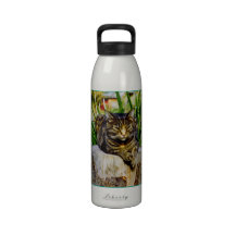Attitude Cat Reusable Water Bottles