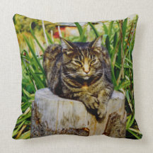 Attitude Cat Throw Pillow