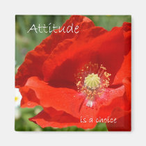 Attitude is a Choice magnets