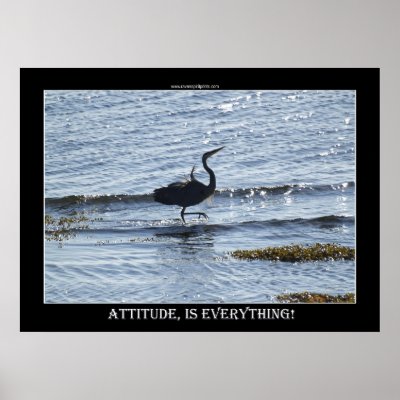ATTITUDE IS EVERYTHING Great Blue Heron Photo Poster by RavenSpiritPrints