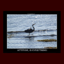 ATTITUDE IS EVERYTHING ~ Photo Print or Poster