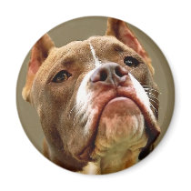 Attitude magnets