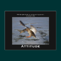Attitude Mallard Duck Motivational Postcards postcards