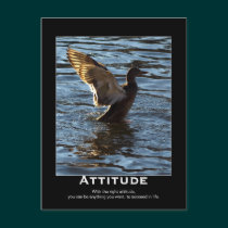 Attitude Mallard Duck Motivational Postcards postcards