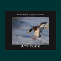 Attitude Mallard Duck Motivational Postcards postcards